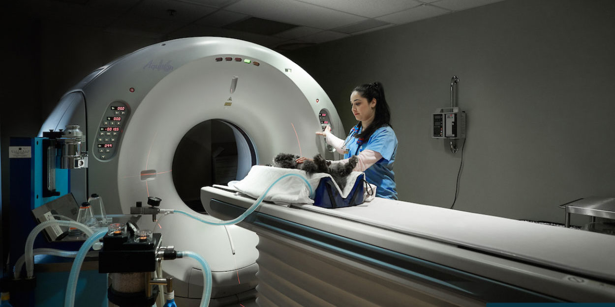 ct-scan-dmv-center-no-logo