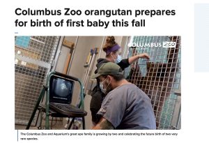 columbus zoo